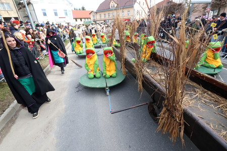 ZLATA POROKA PUSTNI KARNEVAL 57 FOTO LJUBO VUKELIČ
